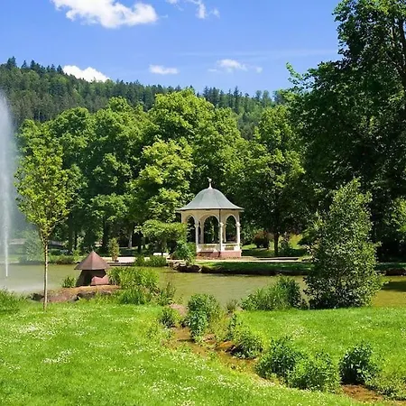 Apartman Schwarzwald-luft 3,5 90qm Mit Doppelgarage