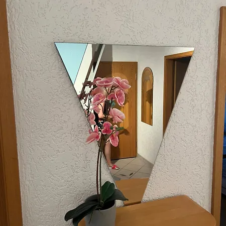 Apartman Schwarzwald-luft 3,5 90qm Mit Doppelgarage