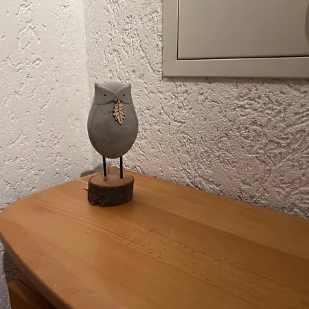 Apartman Schwarzwald-luft 3,5 90qm Mit Doppelgarage